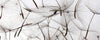 Dimex Dandelion Seeds Papier Peint 375x150cm 5 bandes | Yourdecoration.fr