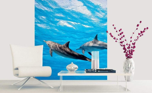 Dimex Dolphins Papier Peint 225x250cm 3 bandes ambiance | Yourdecoration.fr