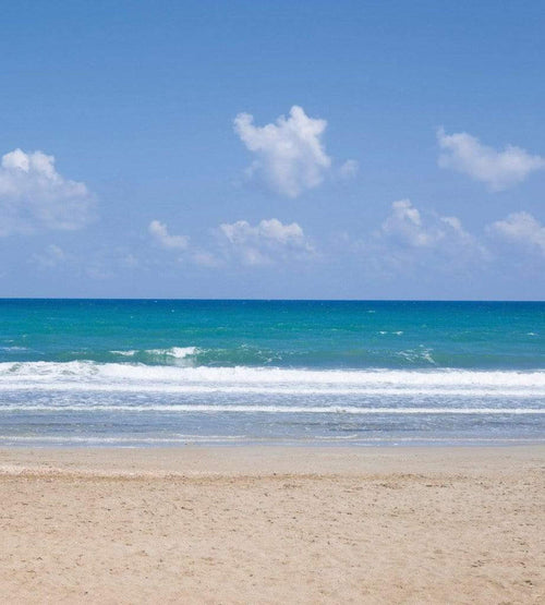 Dimex Empty Beach Papier Peint 225x250cm 3 bandes | Yourdecoration.fr
