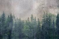 Dimex Forest Abstract Papier Peint 375x250cm 5 bandes | Yourdecoration.fr