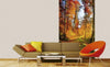 Dimex Forest Walk Papier Peint 150x250cm 2 bandes ambiance | Yourdecoration.fr