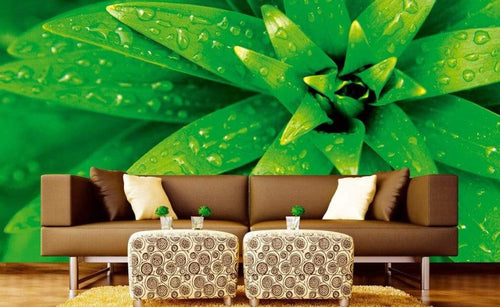 Dimex Fresh Foliage Papier Peint 375x250cm 5 bandes ambiance | Yourdecoration.fr
