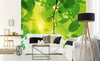 Dimex Green Leaves Papier Peint 375x250cm 5 bandes ambiance | Yourdecoration.fr