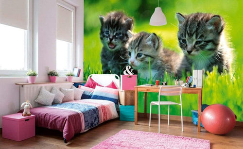 Dimex Kittens Papier Peint 375x250cm 5 bandes ambiance | Yourdecoration.fr