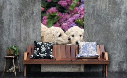Dimex Labrador Puppies Papier Peint 150x250cm 2 bandes ambiance | Yourdecoration.fr