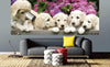 Dimex Labrador Puppies Papier Peint 375x150cm 5 bandes ambiance | Yourdecoration.fr