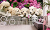 Dimex Labrador Puppies Papier Peint 375x250cm 5 bandes ambiance | Yourdecoration.fr