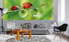 Dimex Ladybird Papier Peint 375x150cm 5 bandes ambiance | Yourdecoration.fr