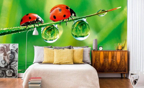 Dimex Ladybird Papier Peint 375x250cm 5 bandes ambiance | Yourdecoration.fr