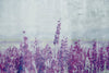 Dimex Lavender Abstract Papier Peint 375x250cm 5 bandes | Yourdecoration.fr