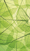Dimex Leaf Veins Papier Peint 150x250cm 2 bandes | Yourdecoration.fr