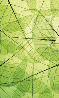 Dimex Leaf Veins Papier Peint 150x250cm 2 bandes | Yourdecoration.fr