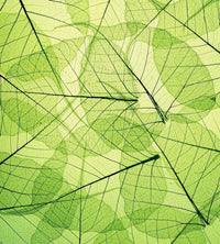 Dimex Leaf Veins Papier Peint 225x250cm 3 bandes | Yourdecoration.fr