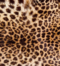 Dimex Leopard Skin Papier Peint 225x250cm 3 bandes | Yourdecoration.fr