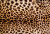 Dimex Leopard Skin Papier Peint 375x250cm 5 bandes | Yourdecoration.fr