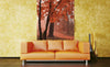 Dimex Misty Forest Papier Peint 150x250cm 2 bandes ambiance | Yourdecoration.fr