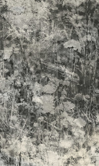 Dimex Nature Gray Abstract Papier Peint 150x250cm 2 bandes | Yourdecoration.fr