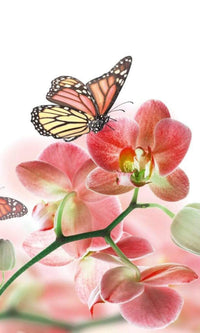 Dimex Orchids and Butterfly Papier Peint 150x250cm 2 bandes | Yourdecoration.fr