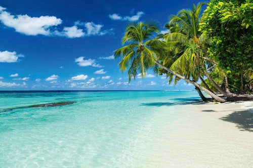 Dimex Paradise Beach Papier Peint 375x250cm 5 bandes | Yourdecoration.fr