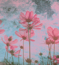 Dimex Pink Flower Abstract Papier Peint 225x250cm 3 bandes | Yourdecoration.fr