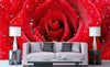 Dimex Red Rose Papier Peint 375x250cm 5 bandes ambiance | Yourdecoration.fr
