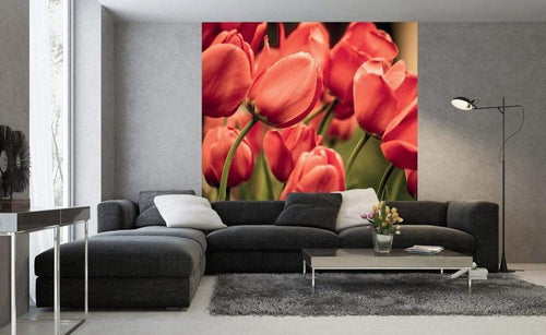 Dimex Red Tulips Papier Peint 225x250cm 3 bandes ambiance | Yourdecoration.fr