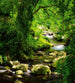 Dimex Stream Papier Peint 225x250cm 3 bandes | Yourdecoration.fr