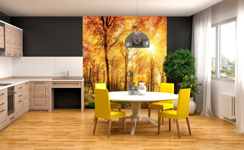 Dimex Sunny Forest Papier Peint 225x250cm 3 bandes ambiance | Yourdecoration.fr
