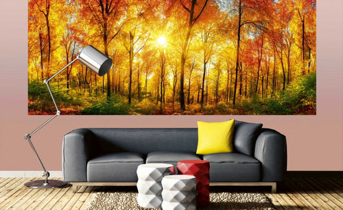Dimex Sunny Forest Papier Peint 375x150cm 5 bandes ambiance | Yourdecoration.fr
