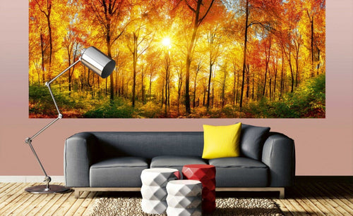 Dimex Sunny Forest Papier Peint 375x150cm 5 bandes ambiance | Yourdecoration.fr