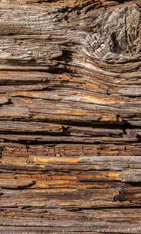 Dimex Tree Bark Papier Peint 150x250cm 2 bandes | Yourdecoration.fr