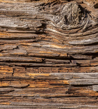 Dimex Tree Bark Papier Peint 225x250cm 3 bandes | Yourdecoration.fr