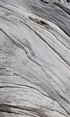 Dimex Tree Texture Papier Peint 150x250cm 2 bandes | Yourdecoration.fr