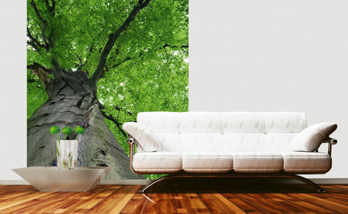 Dimex Treetop Papier Peint 225x250cm 3 bandes ambiance | Yourdecoration.fr