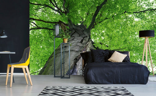 Dimex Treetop Papier Peint 375x250cm 5 bandes ambiance | Yourdecoration.fr