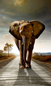 Dimex Walking Elephant Papier Peint 150x250cm 2 bandes | Yourdecoration.fr
