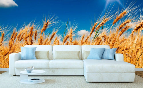 Dimex Wheat Field Papier Peint 375x250cm 5 bandes ambiance | Yourdecoration.fr