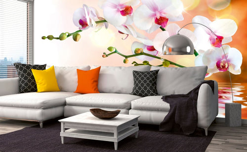 Dimex White Orchid Papier Peint 375x250cm 5 bandes ambiance | Yourdecoration.fr