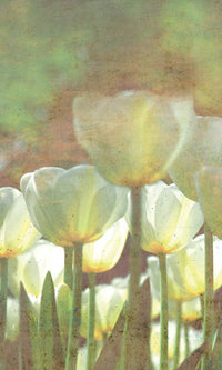 Dimex White Tulips Abstract Papier Peint 150x250cm 2 bandes | Yourdecoration.fr