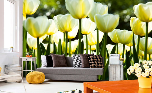 Dimex White Tulips Papier Peint 375x250cm 5 bandes ambiance | Yourdecoration.fr