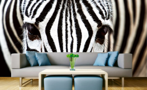 Dimex Zebra Papier Peint 375x250cm 5 bandes ambiance | Yourdecoration.fr