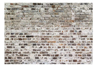 Papier Peint - Old Walls 350x245cm - Intissé