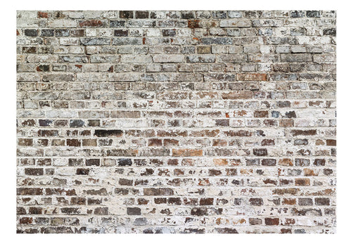 Papier Peint - Old Walls - Intissé