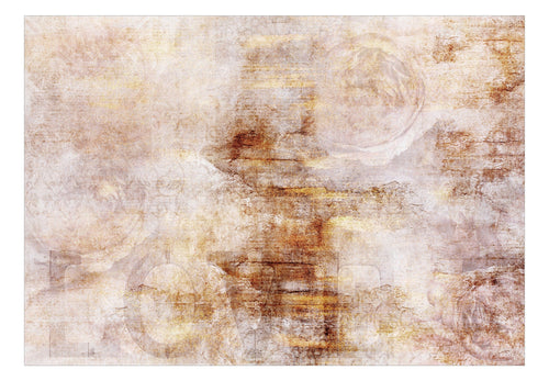 Papier Peint - Magic Roses - Intissé