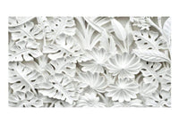 Papier Peint - Alabaster Garden II 500x280cm - Intissé