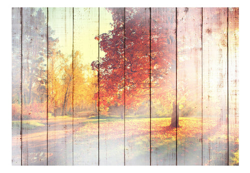 Papier Peint - Autumn Sun - Intissé