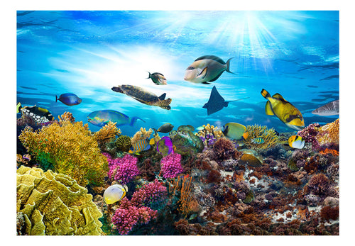 Papier Peint - Coral Reef - Intissé
