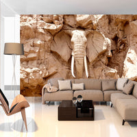 Papier Peint - Stone Elephant South Africa - Intissé