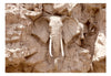 Papier Peint - Elephant Carving South Africa - Intissé
