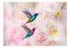 Papier Peint - Colourful Hummingbirds Pink - Intissé